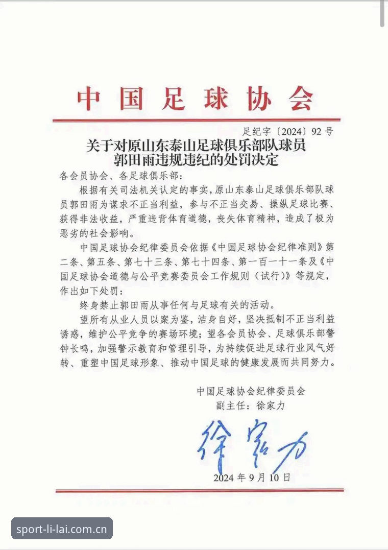 利来体育用户评价使用指南 解读足协第三批禁足名单的实用指南——深度剖析行业乱象与治理关键